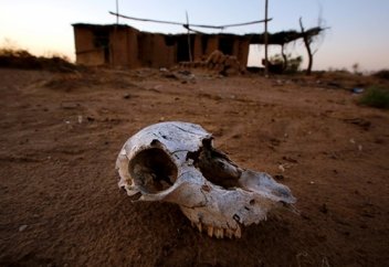 Будет горячо Адская жара, массовые вымирания и леса в огне: чего ждать от глобального потепления