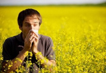 Маусымдық аллергиядан қалай айығуға болады