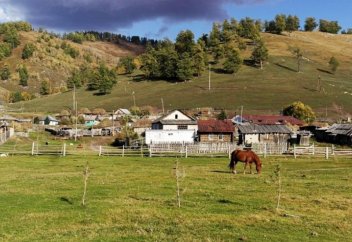 Қазақстанда қанша қала, ауыл бары нақтыланды