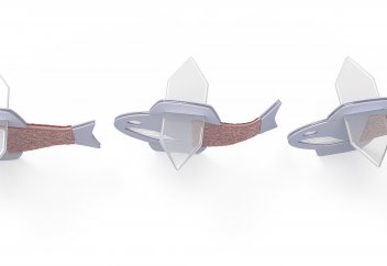 Жасушадан биогидридті балық пайда болды (видео)