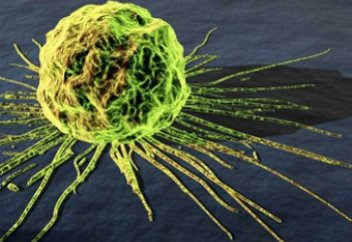 Обыр – адам ағзасында пайда болған паразиттің жаңа түрі