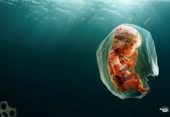 Адам қанынан алғаш рет микропластик табылды