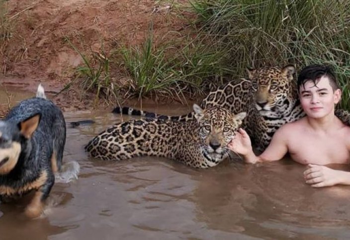 Мальчик с ягуарами. История Тьяго, умеющего жить с хищниками (фото)