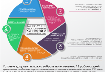 Как получить удостоверение личности и загранпаспорт