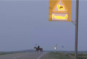 Көліктерді жолға шығып кеткен жануарлардан сақтандыратын жүйе іске қосылуда