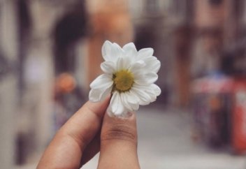 ӘЙЕЛДІ ҚҰРМЕТТЕУДІҢ ӘДІСТЕРІ (психологтардың кеңесі)