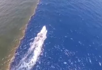 Жак Ив Кустоны таңқалдырған екі теңіз...(ғажап)