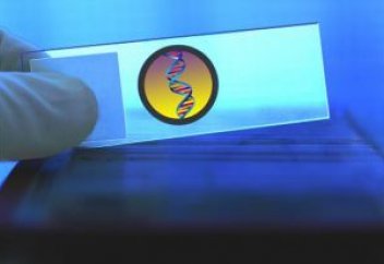 Учёные определили срок годности генов долголетия