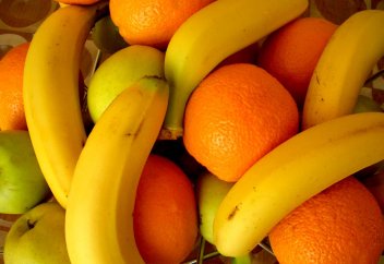 Новый «пугач» в WhatsApp для казахстанцев – люди не слышат доводов