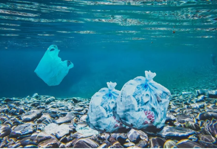 Жапон ғалымдары бірнеше сағат ішінде теңіз суында еріп кететін пластик ойлап тапты