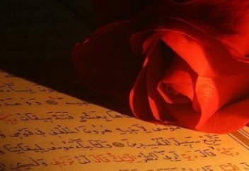 Мені құтқарып қалды...