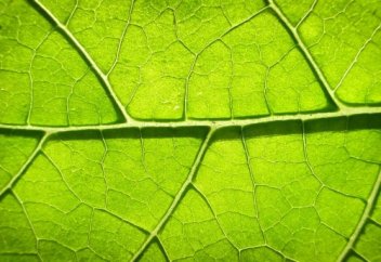 Аллах в хадисе кудси говорит... - часть 1 | Ислам Sound