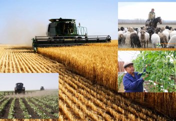 Ел іші: Оңтүстік Қазақстан облысында жібек құртын өсіру ісі қолға алынды (видео)