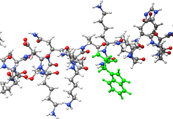 Адам гормоны жыл мезгілдеріне қарай өзгеріп отырады
