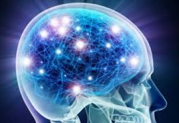 Мидың жұмысын жақсартудың сүннеттегі 3 жолы