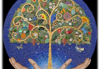 Виды познания