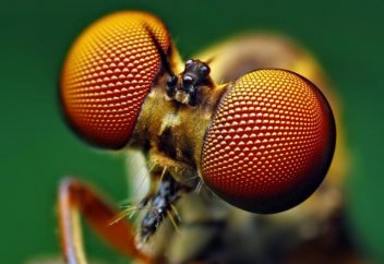 Біз елемейтін әлем