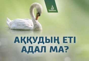 Аққудың еті адал ма?