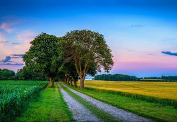 Искусство маленьких шагов