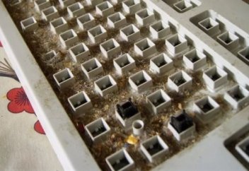 Компьютер пернетақтасы - бактериялардың ұясы