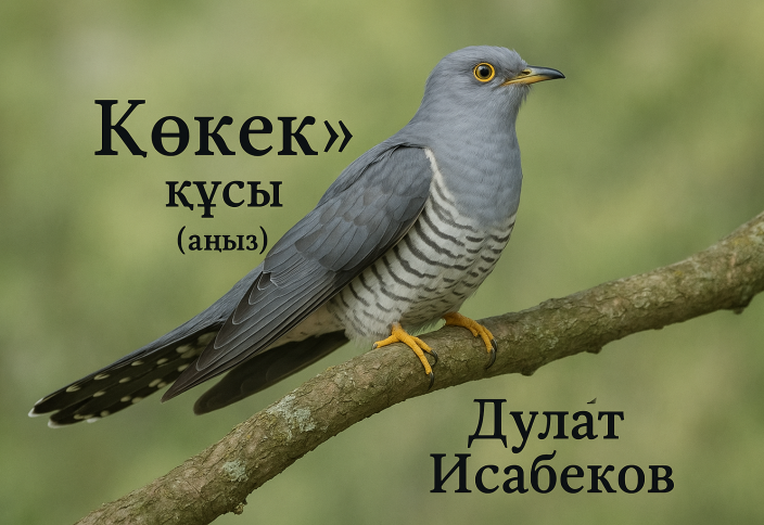 «Көкек» құсы (аңыз әңгіме)