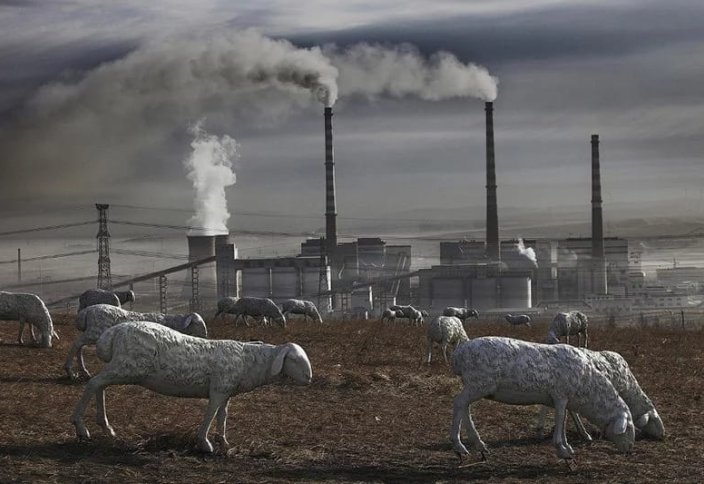 Қытайлық дамудың жантүршігерлік құны (фото)