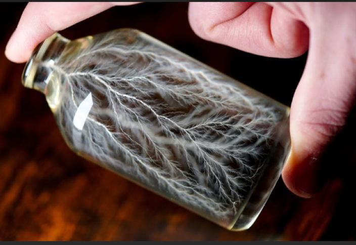 Физик шөлмекте найзағай ойнатты (видео)