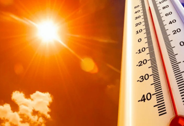 Ученые назвали количество смертей, связанных с жарой