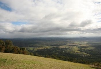 Земляной червь гигантских размеров найден в Австралии (фото)