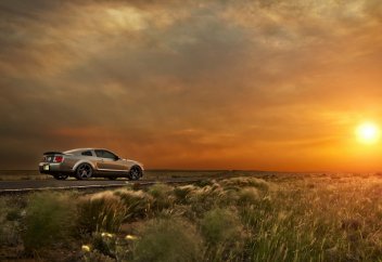 Адамның өмірінің соңында неге туған жерін аңсайтыны белгілі болды