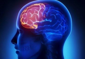 Ойыңызды өзгертсеңіз, өміріңіз өзгереді...