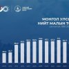 Поголовье скота в Монголии на конец 2024 года составило 57,6 млн голов