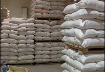 Қазақстан 8 млн тонна астықты экспортқа шығарды