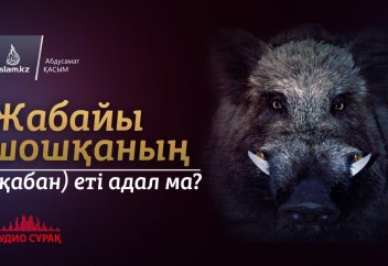 Жабайы шошқаның (қабан) еті адал ма?