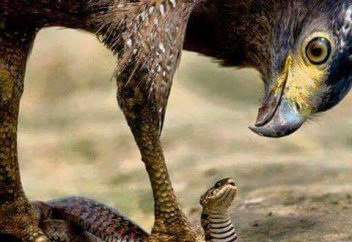 С-400: Турция и США изнуряют друг друга (Le Monde, Франция). TNI: Турция — не единственная страна НАТО с российскими ракетами