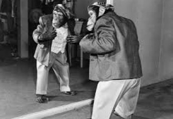 Жануарлар да өз мәдениеті мен дәстүрін қалыптастыра алатын қабілетке ие болып шықты