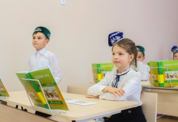 Братские народы поддержали татар в борьбе за родной язык