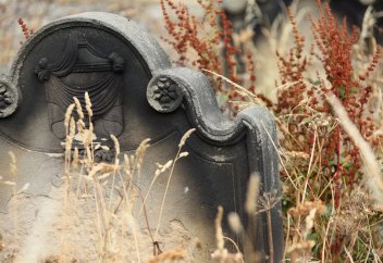 Ажалы тақаған адамның өзін қалай сезінетінін анықтауға тырысыпты...