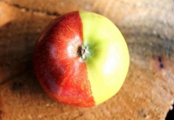 Жұмбақ сұрақтың жұмбақ жауабы