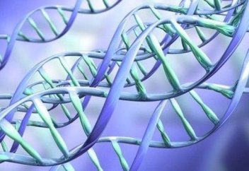 Ғалымдар: Адамның өмірін 500 жылға ұзартуға болады