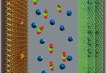 Саңырауқұлақтан шуды сіңіріп алатын құрылғы жасалды