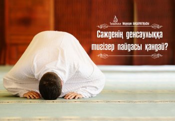 Сәжденің денсаулыққа тигізер пайдасы қандай?