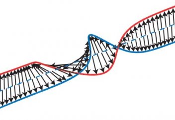 Сөздің өлген жасушаны тірілте алатыны белгілі болды. Солитон