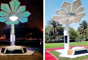 Араб түбегіндегі «ақылды пальмалар» (ФОТО)