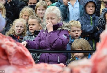 ОҚУШЫЛАРДЫҢ КӨЗІНШЕ АРЫСТАННЫҢ ТЕРІСІН СЫПЫРҒАН (ВИДЕО)