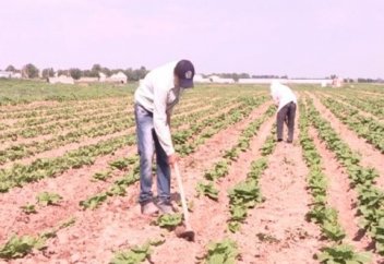 ДАЛА МИФОЛОГИЯСЫ-2