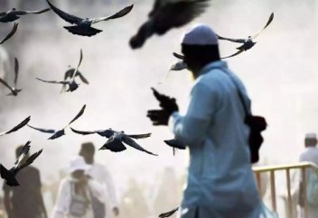 Хадж – ежегодный конгресс мусульман всего мира