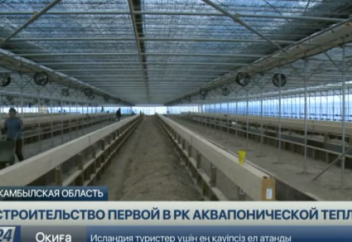 Елімізде тұңғыш рет аквапоникалық жылыжай салынуда (видео)