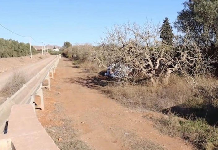 Засуха затронула более половины Европы в середине августа: данные ЕС