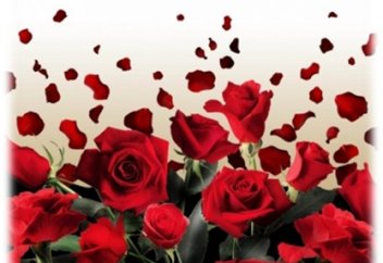 Запреты во время хайда и нифаса